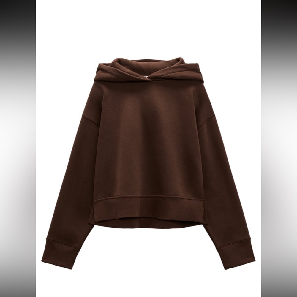 Zara Brown Cropped Hoodie